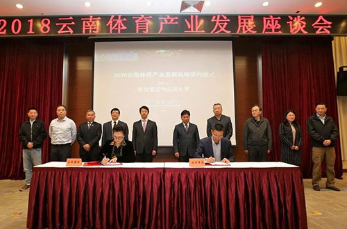 中电六所智能系统有限公司